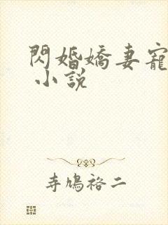 闪婚娇妻宠上天 小说封面