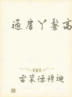 通房丫鬟高h封面