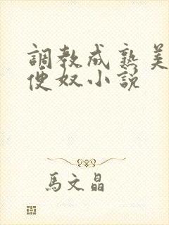调教成熟美妇肉便奴小说