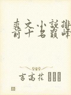 爽文小说排行榜前十名巅峰之作封面