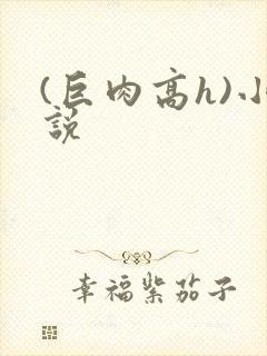 (巨肉高h)小说