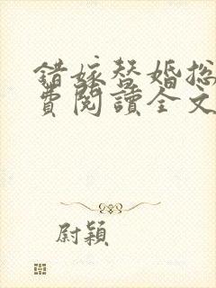 错嫁替婚总裁免费阅读全文