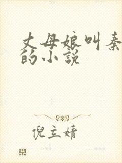 丈母娘叫秦什么的小说