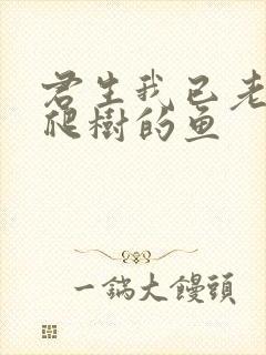 君生我已老 爱爬树的鱼封面