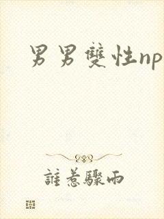 男男双性np文封面