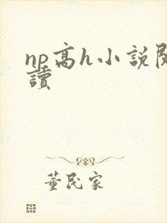 np高h小说阅读