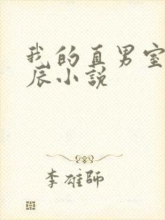 我的直男室友张辰小说