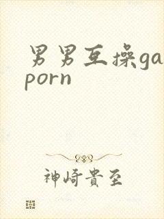 男男互操gayporn封面