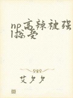 np高辣被强bl总受封面