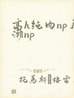 高h纯肉np弄潮np
