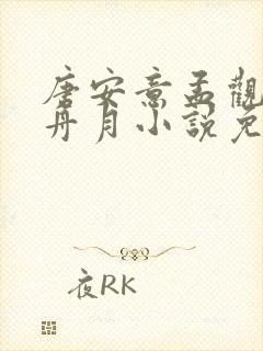 唐安意孟观鹤苏舟月小说免费阅读