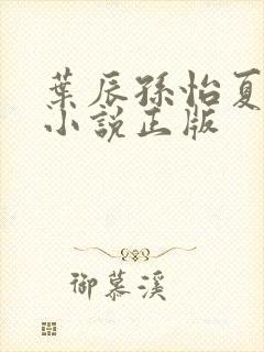 叶辰孙怡夏若雪小说正版封面