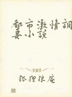 都市激情调教人妻小说封面