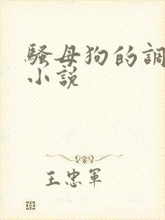 骚母狗的调教h小说