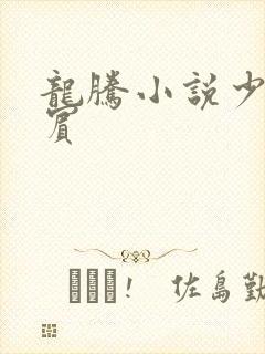 龙腾小说少年阿宾