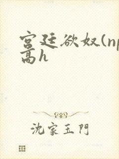 宫廷欲奴(np高h
