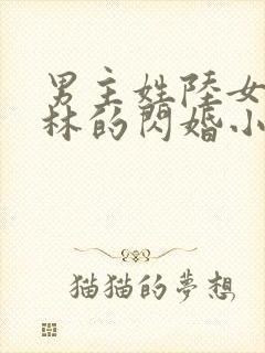 男主姓陆女主姓林的闪婚小说