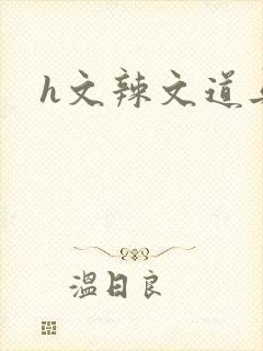 h文辣文道具封面