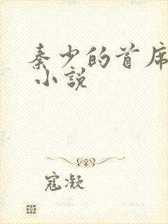 秦少的首席甜妻 小说