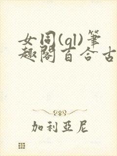 女同(gl)笔趣阁百合古言封面