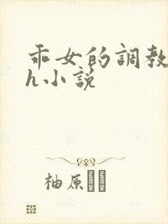 乖女的调教日常h小说封面