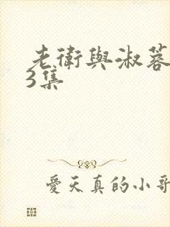 老卫与淑蓉第13集封面