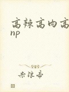 高辣高肉高h文np封面