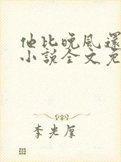 他比晚风还温柔小说全文免费阅读封面