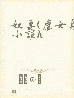 奴妻(虐女身)小说h