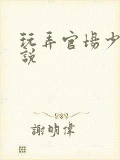 玩弄官场少妇小说封面