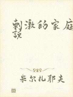 刺激的家庭乱小说
