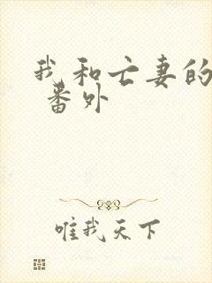 我和亡妻的秘密 番外