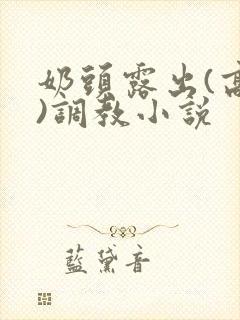 奶头露出(高h)调教小说封面