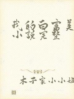 我的白富美老婆小说完整