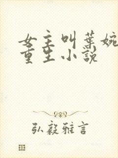 女主叫叶婉清的重生小说封面