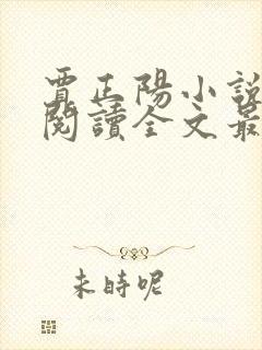 贾正阳小说免费阅读全文最新章节封面