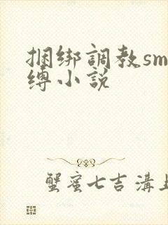 捆绑调教sm束缚小说