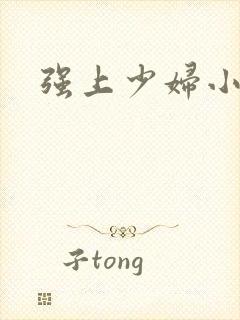 强上少妇小说封面