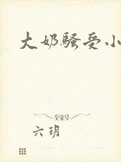 大奶骚受小说