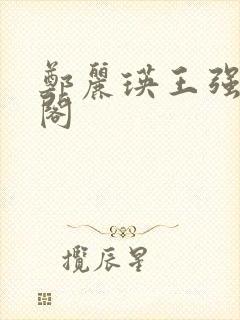 郑丽瑛王强笔趣阁封面