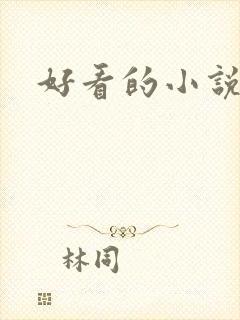 好看的小说阅读