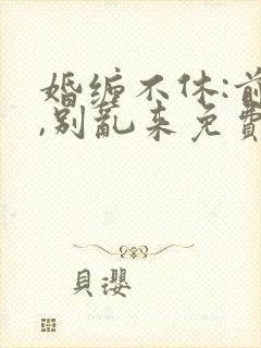 婚缠不休:前夫,别乱来免费阅读