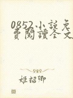 0852小说免费阅读全文最新章节