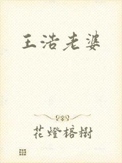 王浩老婆封面