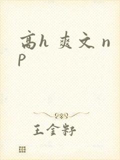 高h 爽文 np