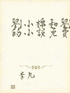 刘小棉和刘易文的小说免费阅读封面