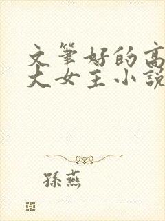 文笔好的高质量大女主小说