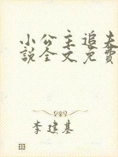 小公主追夫记小说全文免费阅读