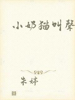 小奶猫叫声音频封面
