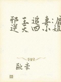 邪王追妻:废材逆天四小姐